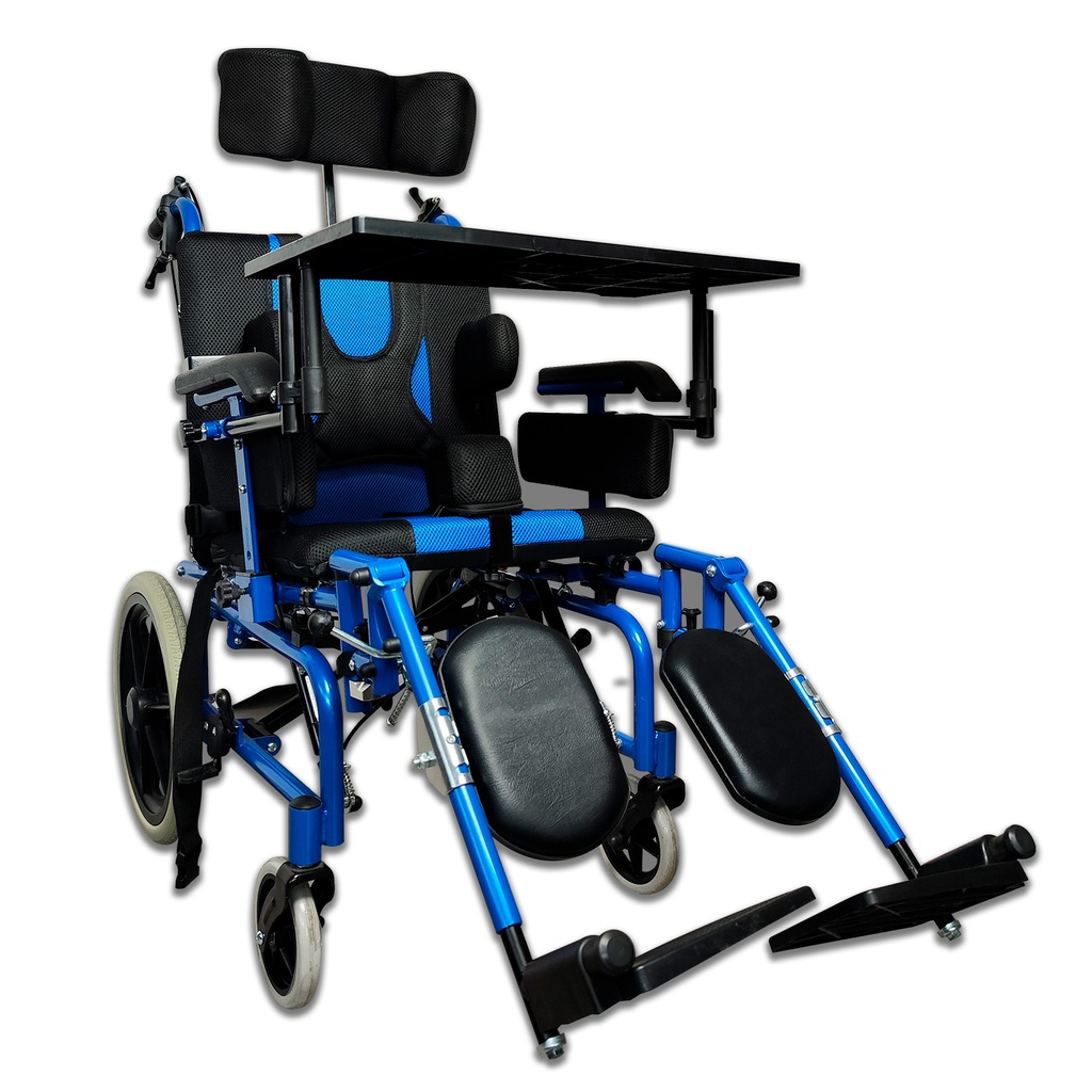 SILLA DE RUEDAS PARALISIS CEREBRAL PARA ADULTO C001